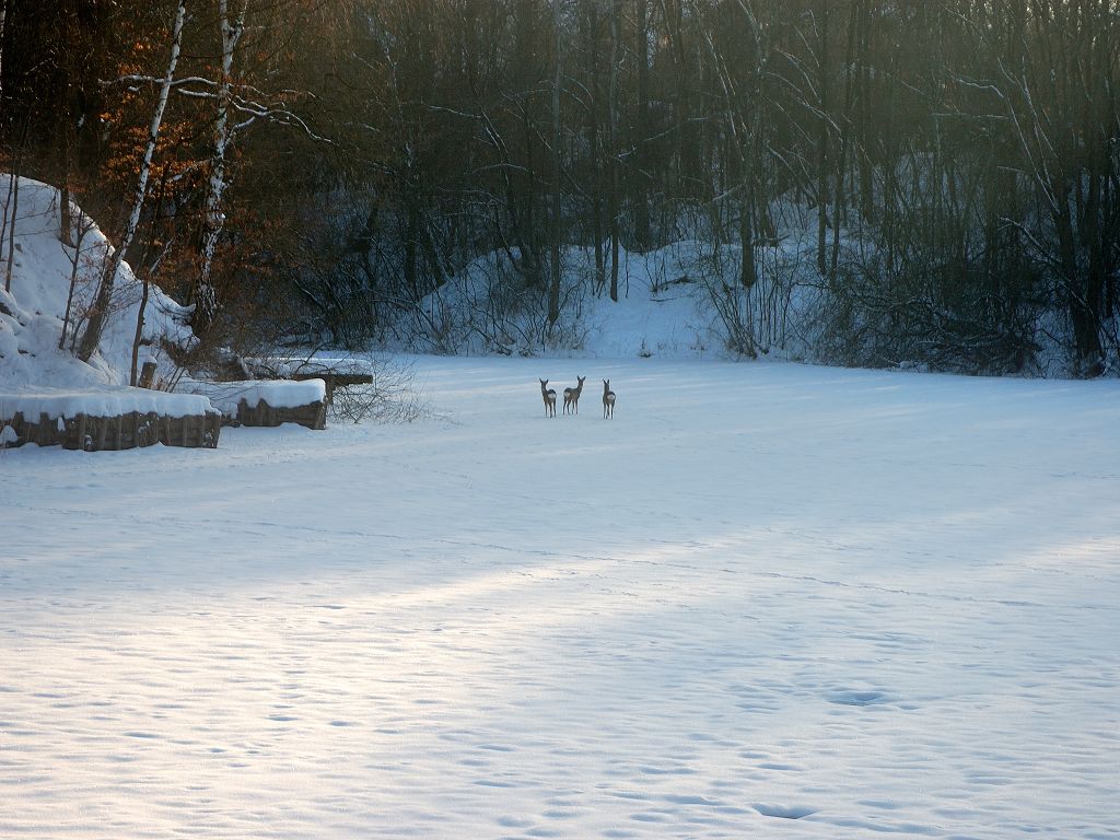 Winterbild 2